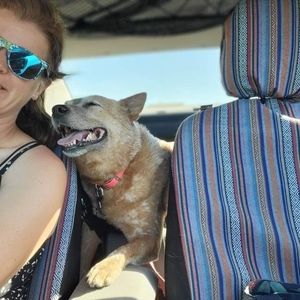 Meet your Posher, Charity